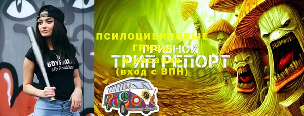 винт Алзамай