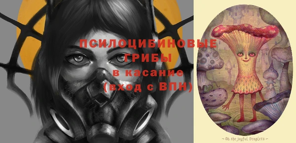 дмт Михайловск